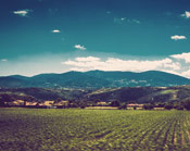 【MAC版】适配的网页攻击平台